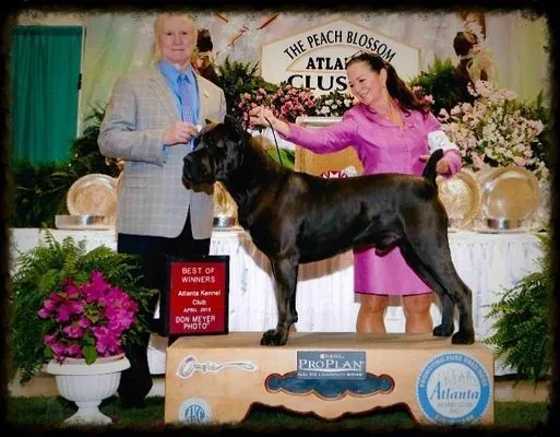 dog breeding burlison