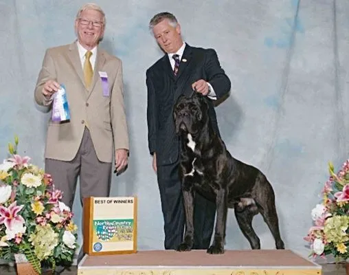 dog breeder near me in burlison tn